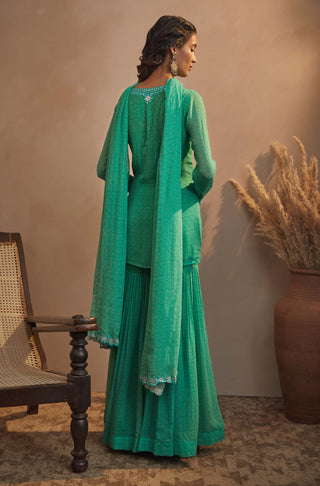 Aneesh Agarwaal-Emerald Green Printed Kurta Set-INDIASPOPUP.COM
