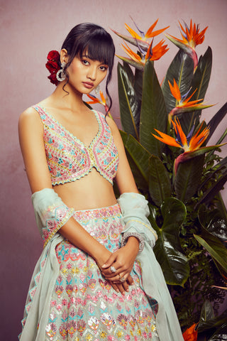 Aneesh Agarwaal-Multicolor Floral Lehenga Set-INDIASPOPUP.COM