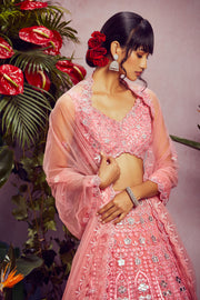 Aneesh Agarwaal-Pink Embellished Net Lehenga Set-INDIASPOPUP.COM