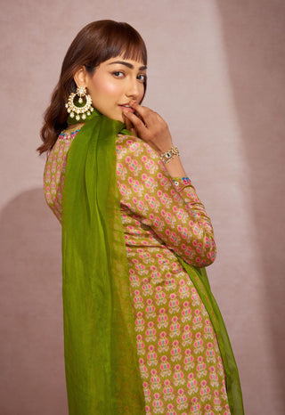 Aneesh Agarwaal-Olive Green Kurta Set-INDIASPOPUP.COM