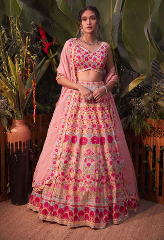Aneesh Agarwaal-Pink Applique Lehenga Set-INDIASPOPUP.COM