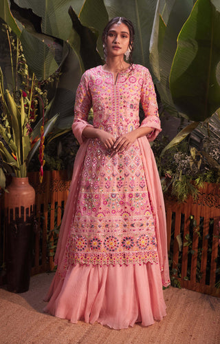 Aneesh Agarwaal-Pink Ektar Organza Jacket Skirt Set-INDIASPOPUP.COM
