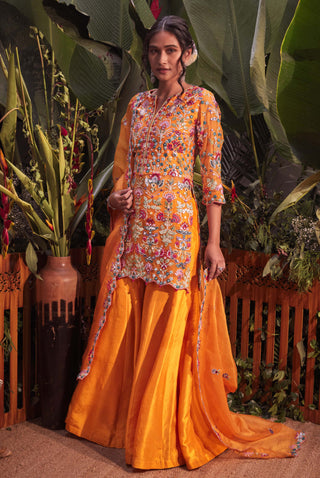 Aneesh Agarwaal-Mango Yellow Short Organza Jacket Sharara Set-INDIASPOPUP.COM
