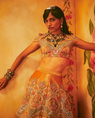 Aisha Rao-Copper Embellished Kali Lehenga Set-INDIASPOPUP.COM