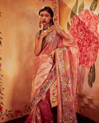 Aisha Rao-Pink Blue Saree Set-INDIASPOPUP.COM