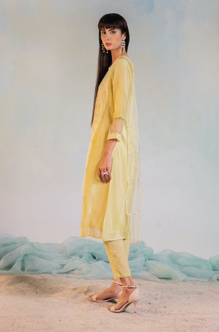 Charkhee-Lime Yellow Classic Straight Kurta Set-INDIASPOPUP.COM