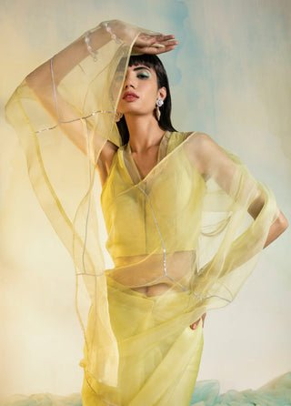 Charkhee-Lime Yellow Organza Saree With Blouse-INDIASPOPUP.COM