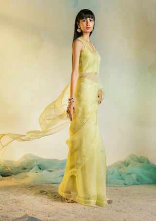 Charkhee-Lime Yellow Organza Saree With Blouse-INDIASPOPUP.COM