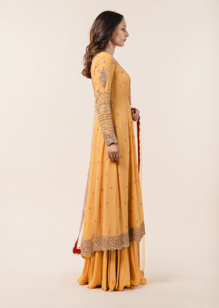 Nitika Gujral-Mustard Shimmer Kalidar Sharara Set-INDIASPOPUP.COM