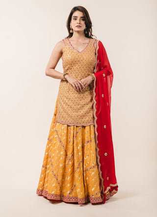 Nitika Gujral-Mustard Georgette Lehenga Set-INDIASPOPUP.COM