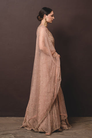 Nitika Gujral-Tea Rose Shimmer Georgette Gown-INDIASPOPUP.COM