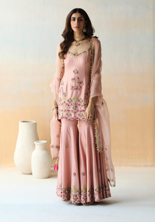 Aman Takyar-Onion Pink Sharara Set-INDIASPOPUP.COM