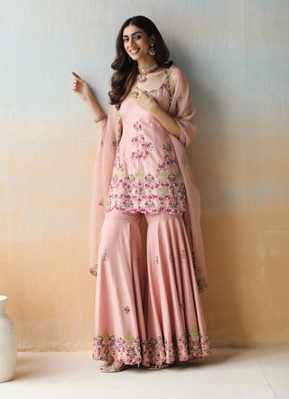 Aman Takyar-Onion Pink Sharara Set-INDIASPOPUP.COM