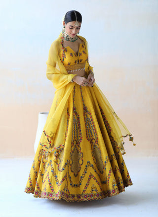 Aman Takyar-Mango Yellow Lehenga Set-INDIASPOPUP.COM