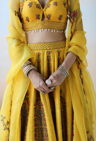 Aman Takyar-Mango Yellow Lehenga Set-INDIASPOPUP.COM