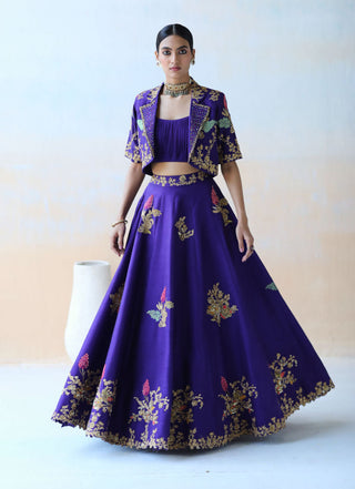 Aman Takyar-Purple Lehenga Set-INDIASPOPUP.COM