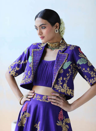 Aman Takyar-Purple Lehenga Set-INDIASPOPUP.COM