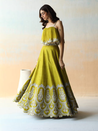 Aman Takyar-Lime Green Lehenga Set-INDIASPOPUP.COM