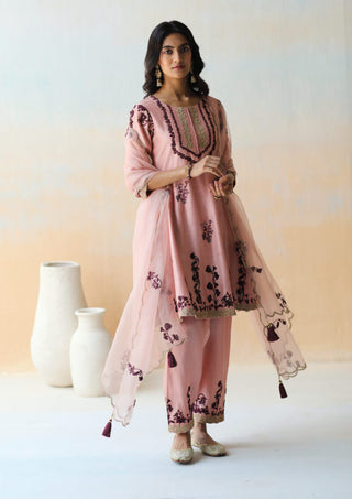 Aman Takyar-Onion Pink Kurta Set-INDIASPOPUP.COM