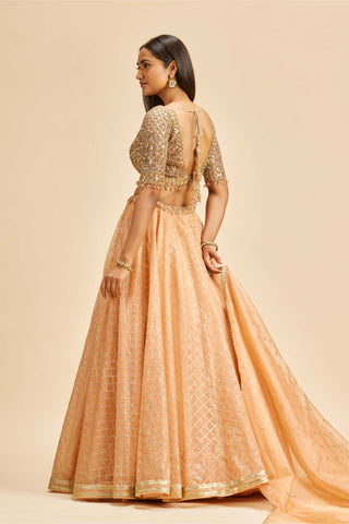 Nitika Gujral-Peach Organza Lehenga Set-INDIASPOPUP.COM