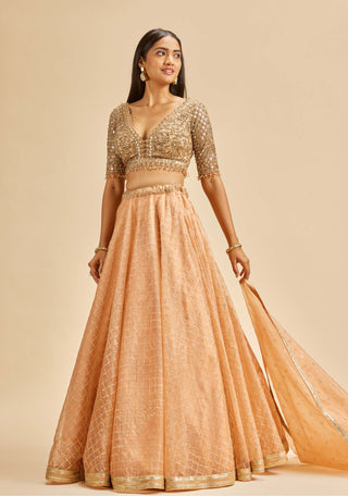 Nitika Gujral-Peach Organza Lehenga Set-INDIASPOPUP.COM