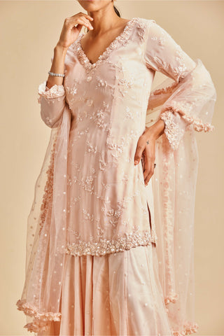 Nitika Gujral-Baby Pink Embroidery Sharara Set-INDIASPOPUP.COM