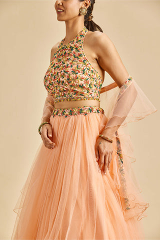 Nitika Gujral-Peach Gathered Lehenga Set-INDIASPOPUP.COM