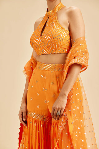 Nitika Gujral-Orange Georgette Gharara Set-INDIASPOPUP.COM