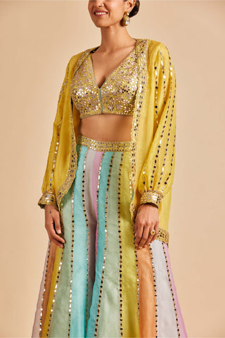 Nitika Gujral-Multicolor Mirror Sharara Jacket Set-INDIASPOPUP.COM