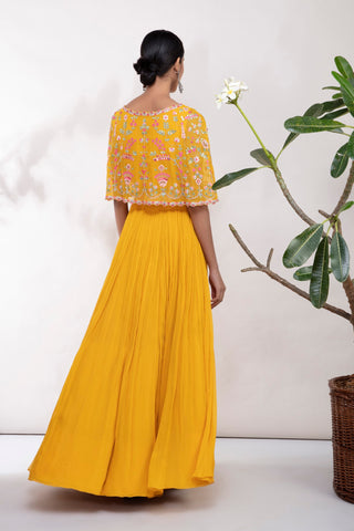 Aneesh Agarwaal-Yellow Hand Embroidered Cape Top & Skirt-INDIASPOPUP.COM