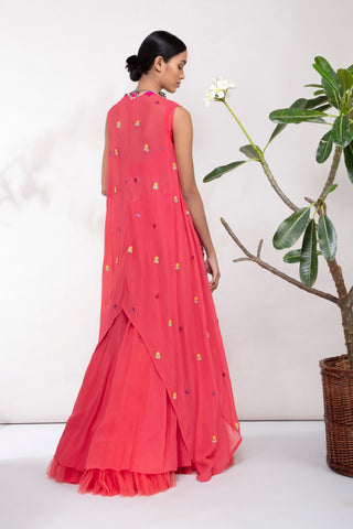 Aneesh Agarwaal-Pink Blouse With Cape & Lehenga-INDIASPOPUP.COM