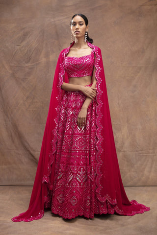 Aneesh Agarwaal-Magenta Pink Embroidered Lehenga Set-INDIASPOPUP.COM