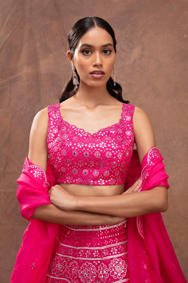 Aneesh Agarwaal-Rani Pink Embroidered Lehenga Set-INDIASPOPUP.COM