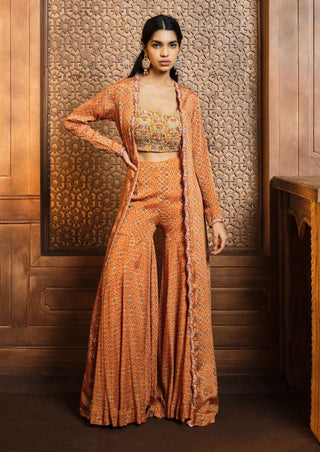 Aneesh Agarwaal-Mustard Printed Jacket And Sharara Set-INDIASPOPUP.COM