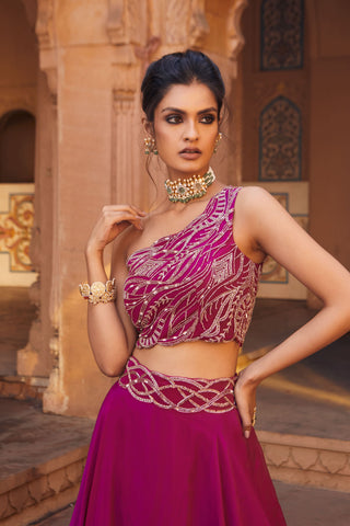 Charu & Vasundhara-Zoe Raspberry Embroidered Lehenga With Crop Top-INDIASPOPUP.COM