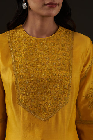 Balance By Rohit Bal-Mango Yellow Embroidered Kalidar Kurta Set-INDIASPOPUP.COM