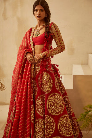 Bhumika Sharma-Red Circle Bridal Lehenga Set-INDIASPOPUP.COM