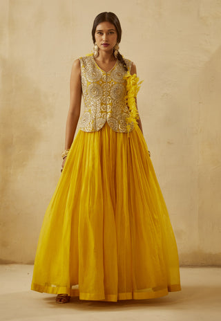 Bhumika Sharma-Yellow Embroidered Jacket Anarkali-INDIASPOPUP.COM