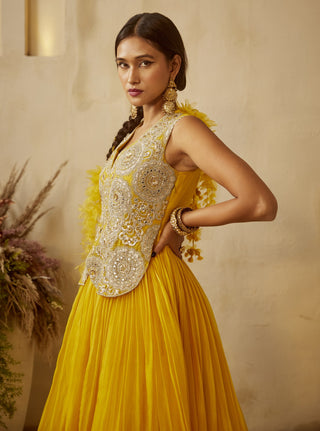 Bhumika Sharma-Yellow Embroidered Jacket Anarkali-INDIASPOPUP.COM