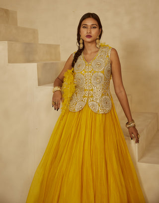 Bhumika Sharma-Yellow Embroidered Jacket Anarkali-INDIASPOPUP.COM