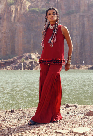 Bhumika Sharma-Red Embroidered Top With Sharara-INDIASPOPUP.COM