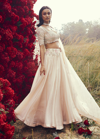 Bhumika Sharma-Champagne Pleated Lehenga Set-INDIASPOPUP.COM