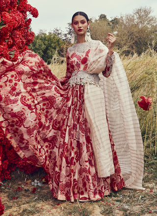 Bhumika Sharma-Red Champagne Bahaar Embroidered Anarkali Set-INDIASPOPUP.COM