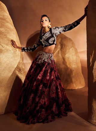 Bhumika Sharma-Black Red Gulbahar Organza Skirt With Blouse-INDIASPOPUP.COM