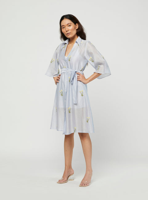Meadow-Blue Embroidered Dress-INDIASPOPUP.COM
