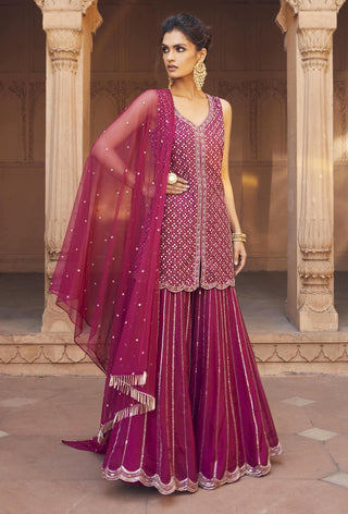 Charu & Vasundhara-Zabya Raspberry Embroidered Sharara Set-INDIASPOPUP.COM