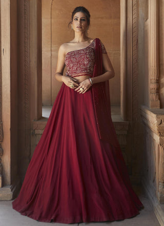 Charu & Vasundhara-Zohra Oxblood Embroidered Gown With Dupatta-INDIASPOPUP.COM