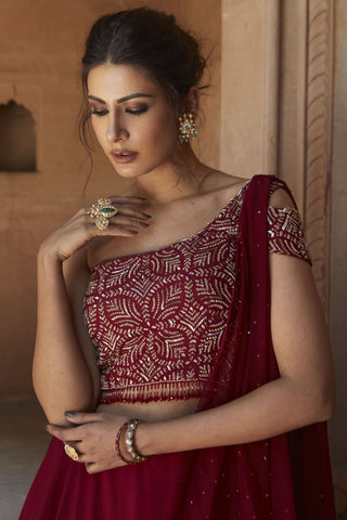 Charu & Vasundhara-Zohra Oxblood Embroidered Gown With Dupatta-INDIASPOPUP.COM