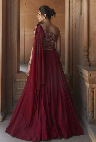 Charu & Vasundhara-Zohra Oxblood Embroidered Gown With Dupatta-INDIASPOPUP.COM