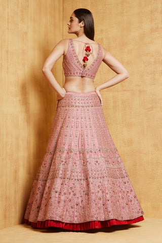 Chamee And Palak-Mauve Pink Asiya Lehenga Set-INDIASPOPUP.COM